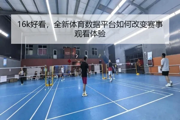 16k好看，全新体育数据平台如何改变赛事观看体验
