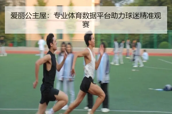 爱丽公主屋：专业体育数据平台助力球迷精准观赛