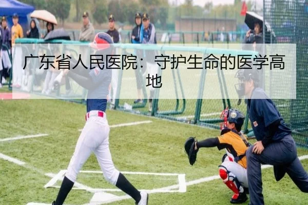 广东省人民医院：守护生命的医学高地